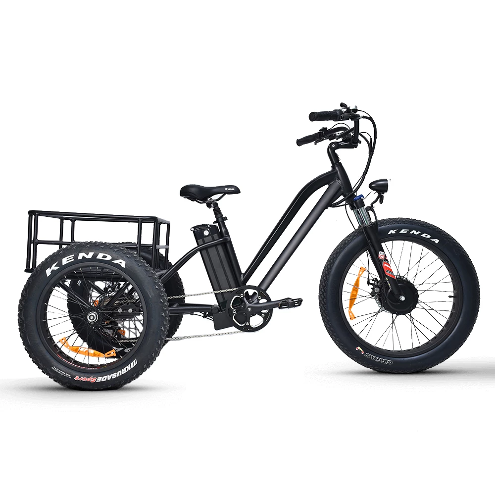 Electric Fat Trike 48V 1000W snowmobile Electric three-wheeled fat ebike 20-24inch wheel electric CARGO ebike