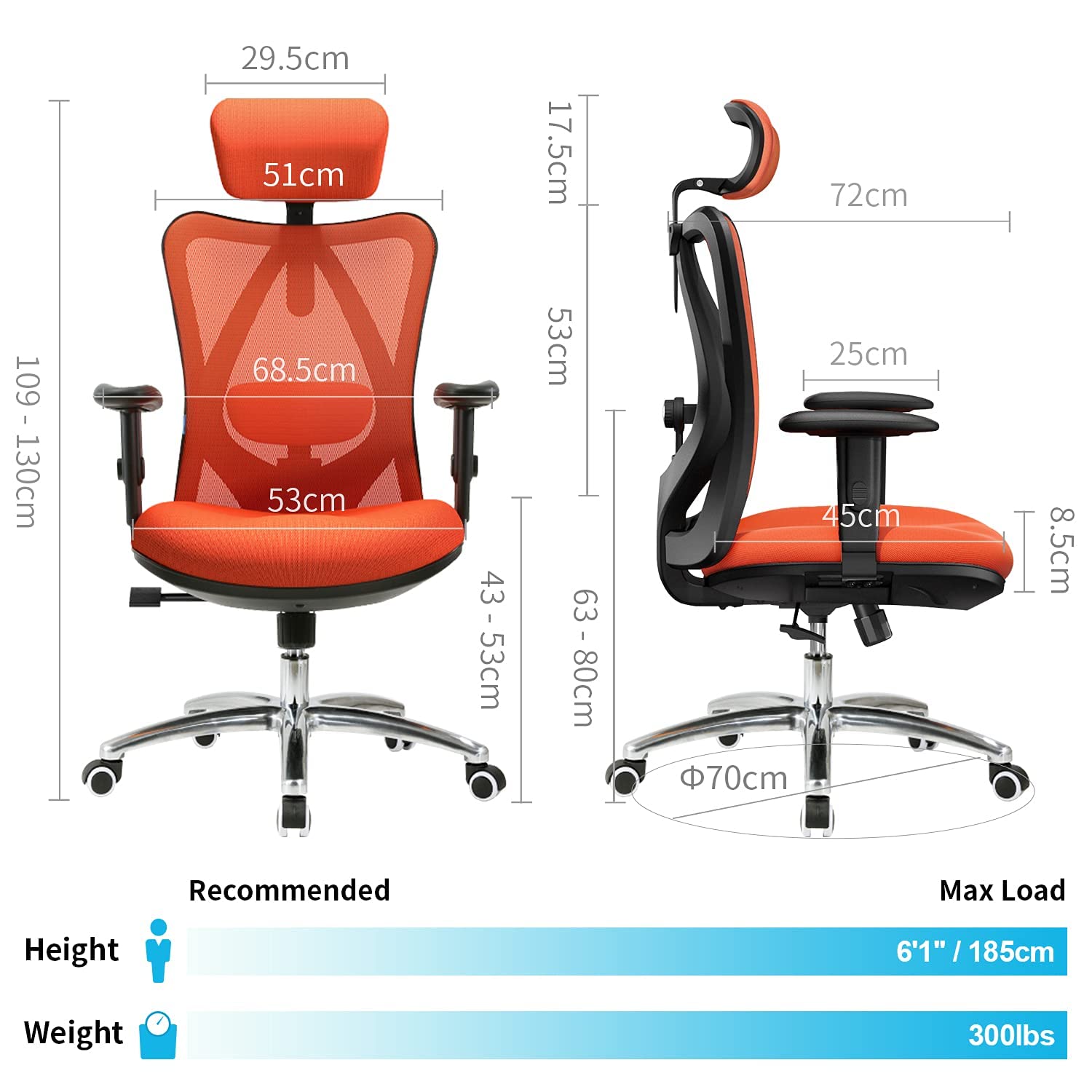 SIHOO Office Desk Chair, Ergonomic Computer Office Chair with Adjustable Headrest and Lumbar Support,High Back Executive Swivel Chair