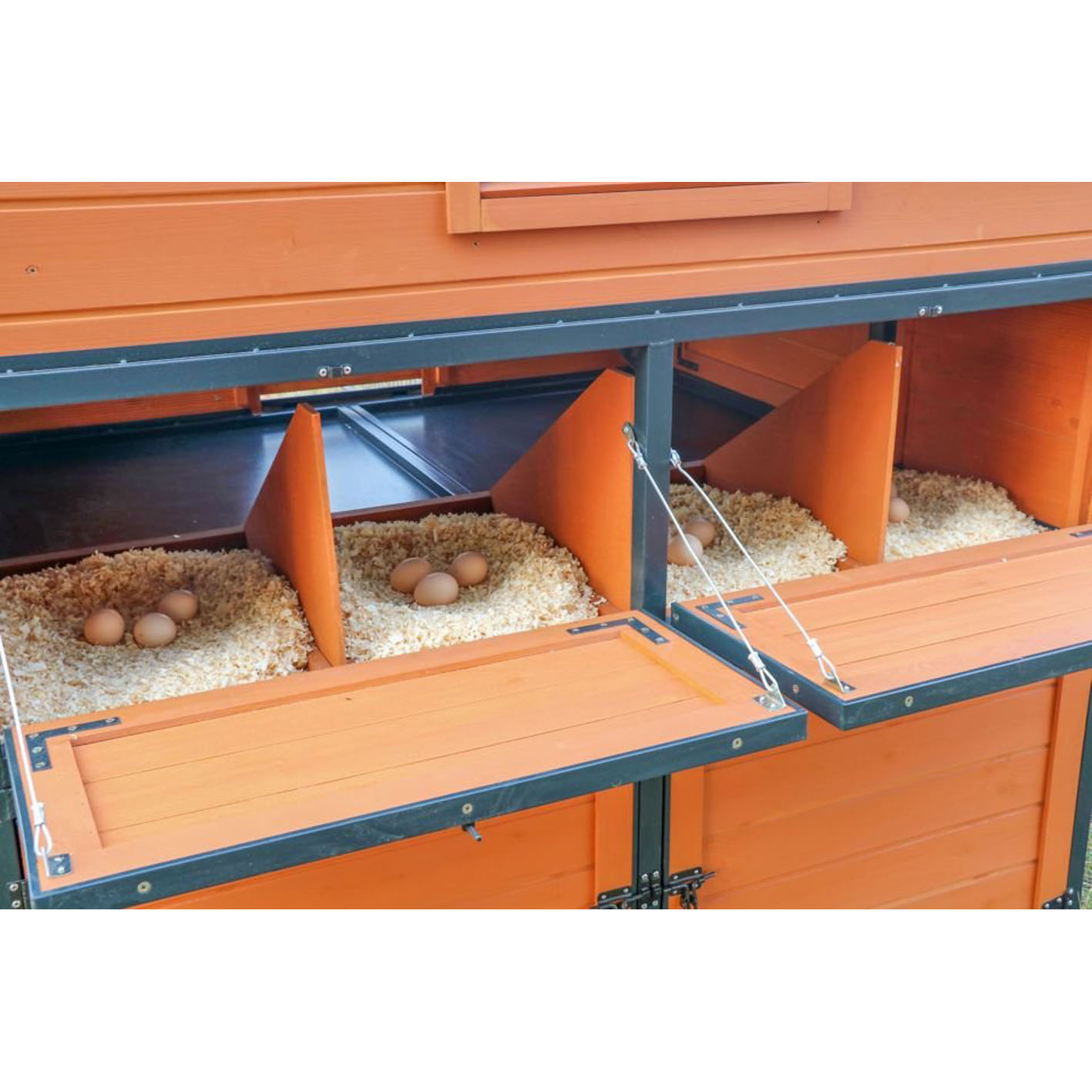 Walk-In Weatherproof Large Chicken Coop