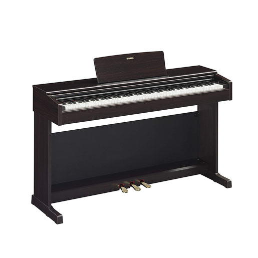 1362-Check out our once in a lifetime offer