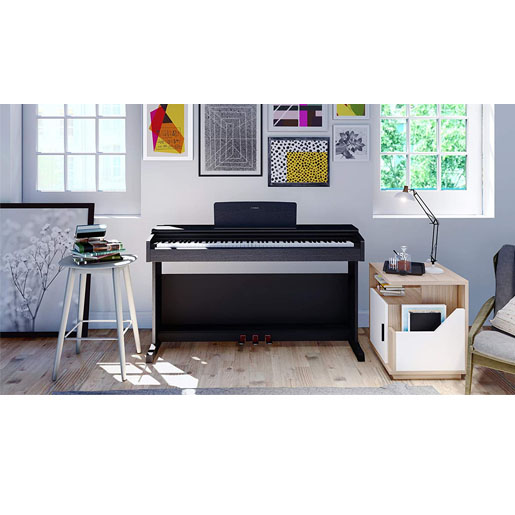 1362-Check out our once in a lifetime offer