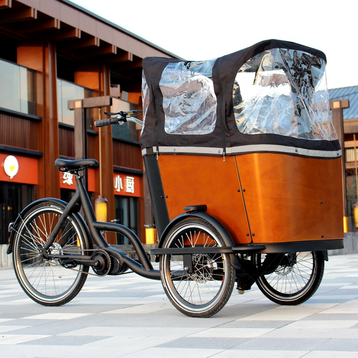 Inverted three-wheeled cargo box bicycle Hansen cargo bicycle Bafang mid-mounted motor electric assist parent-child car