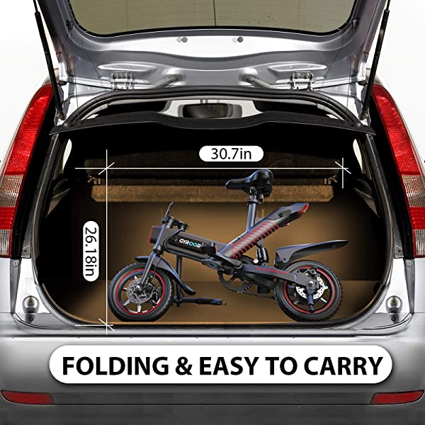 1291-Big Buys. Bigger Savings