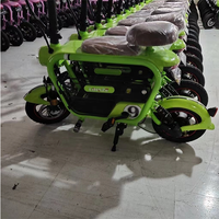 Double Electric Bike