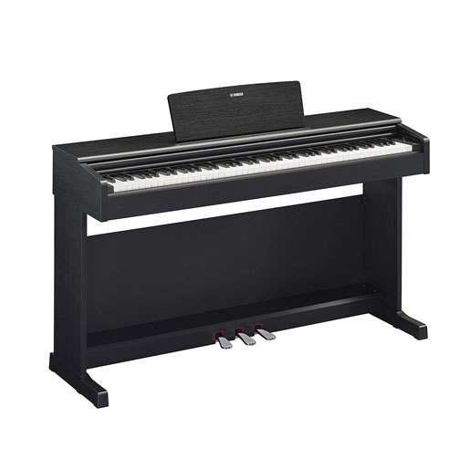 1362-Check out our once in a lifetime offer