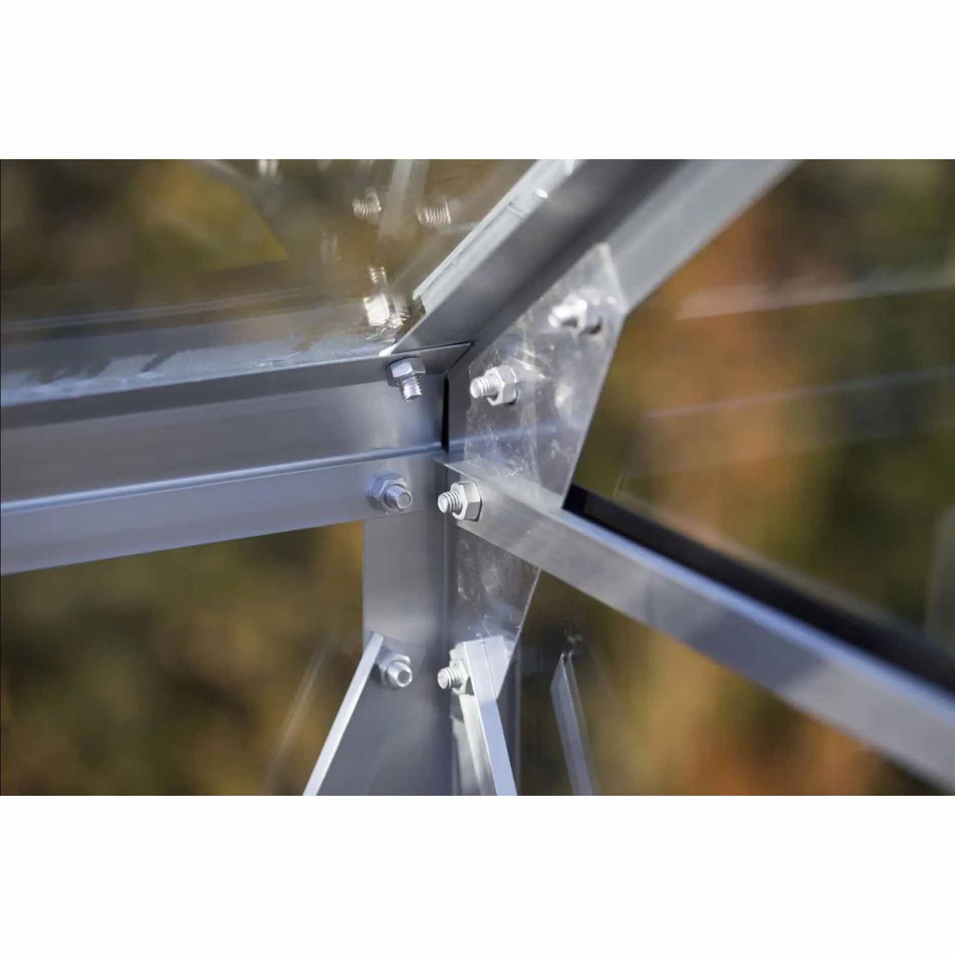 Vitavia 8x6 Venus 5000 Greenhouse - Horticultural Glass