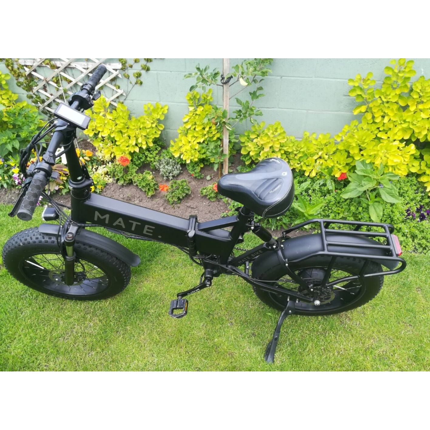 Mate electric bike