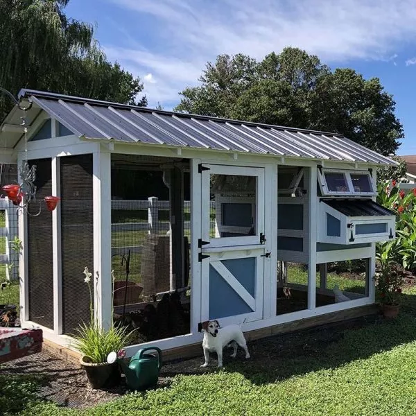 1463-Exclusive sale on these special items