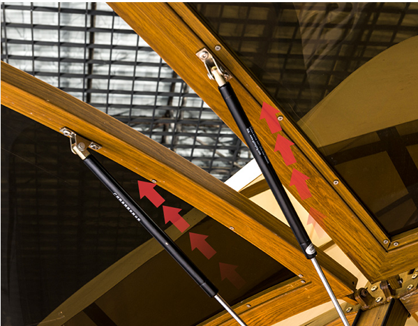 2664-Exclusive sale on these special items