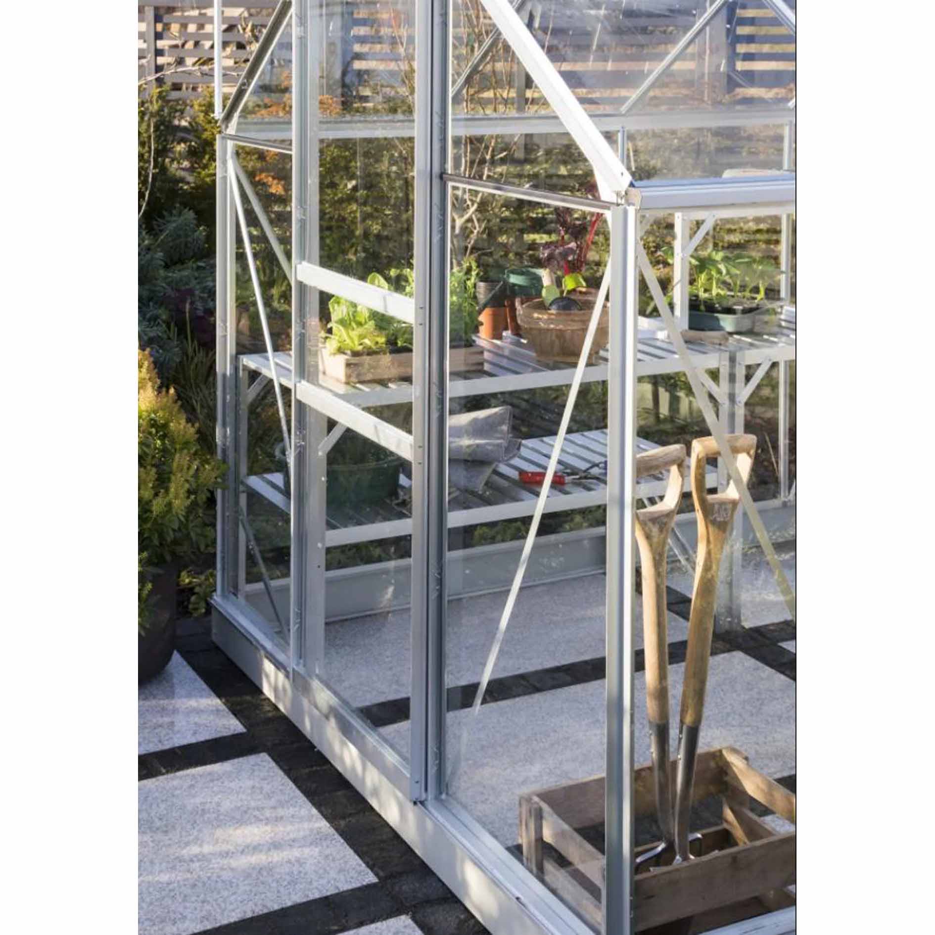 Vitavia 8x6 Venus 5000 Greenhouse - Horticultural Glass