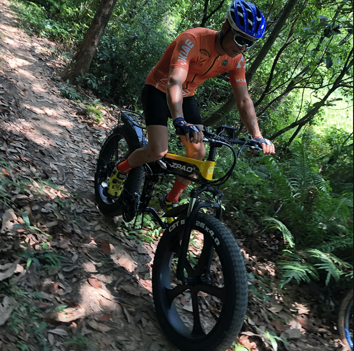 2915-ZPAO Electric Bike Fat Tire 48V Lithium Battery Folding Bike 1000W Beach Off-Road Snow Electric Bike 21 Speed Mountain Bike