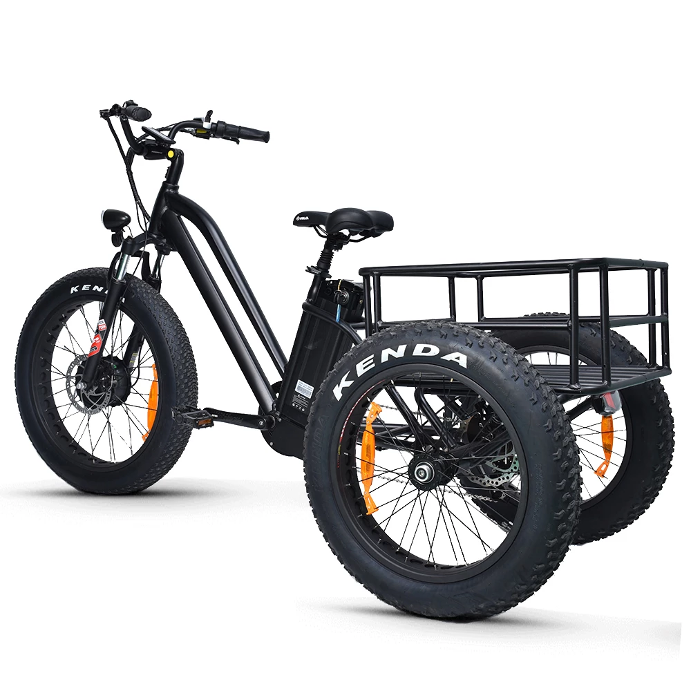 Electric Fat Trike 48V 1000W snowmobile Electric three-wheeled fat ebike 20-24inch wheel electric CARGO ebike