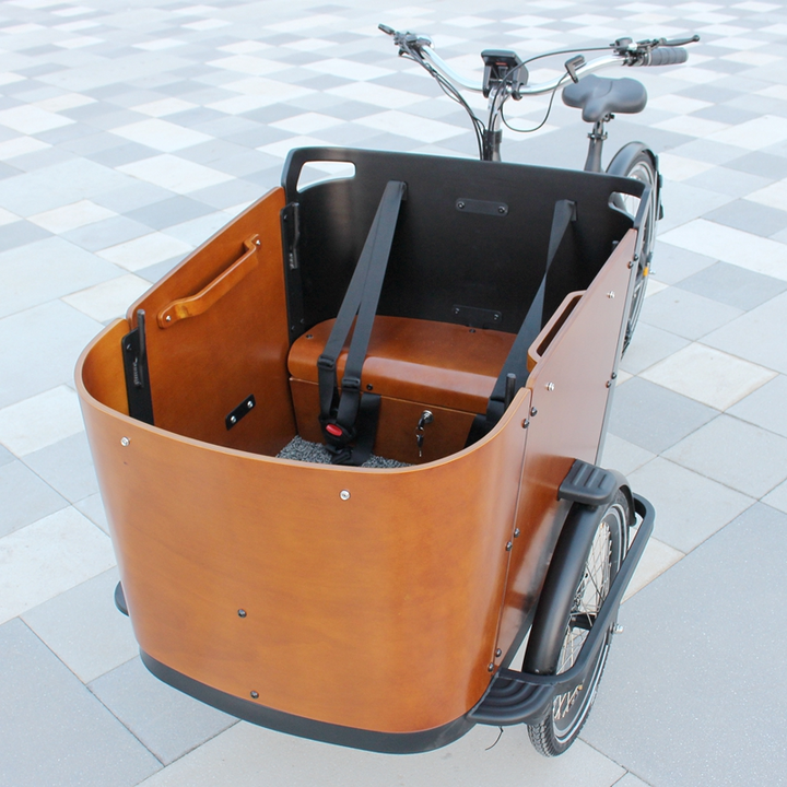European inverted three-wheeled cargo bike Hansen cargo bike Bafang mid-mounted motor electric-assisted parent-child car