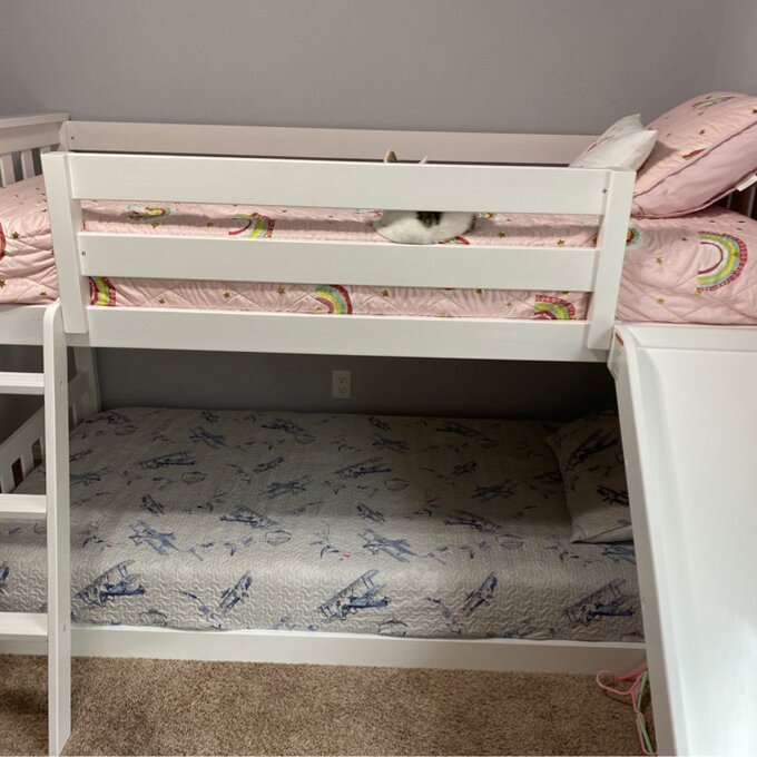 Jeniffer Twin Over Twin solid wood standard bunk bed by Harriet Bee