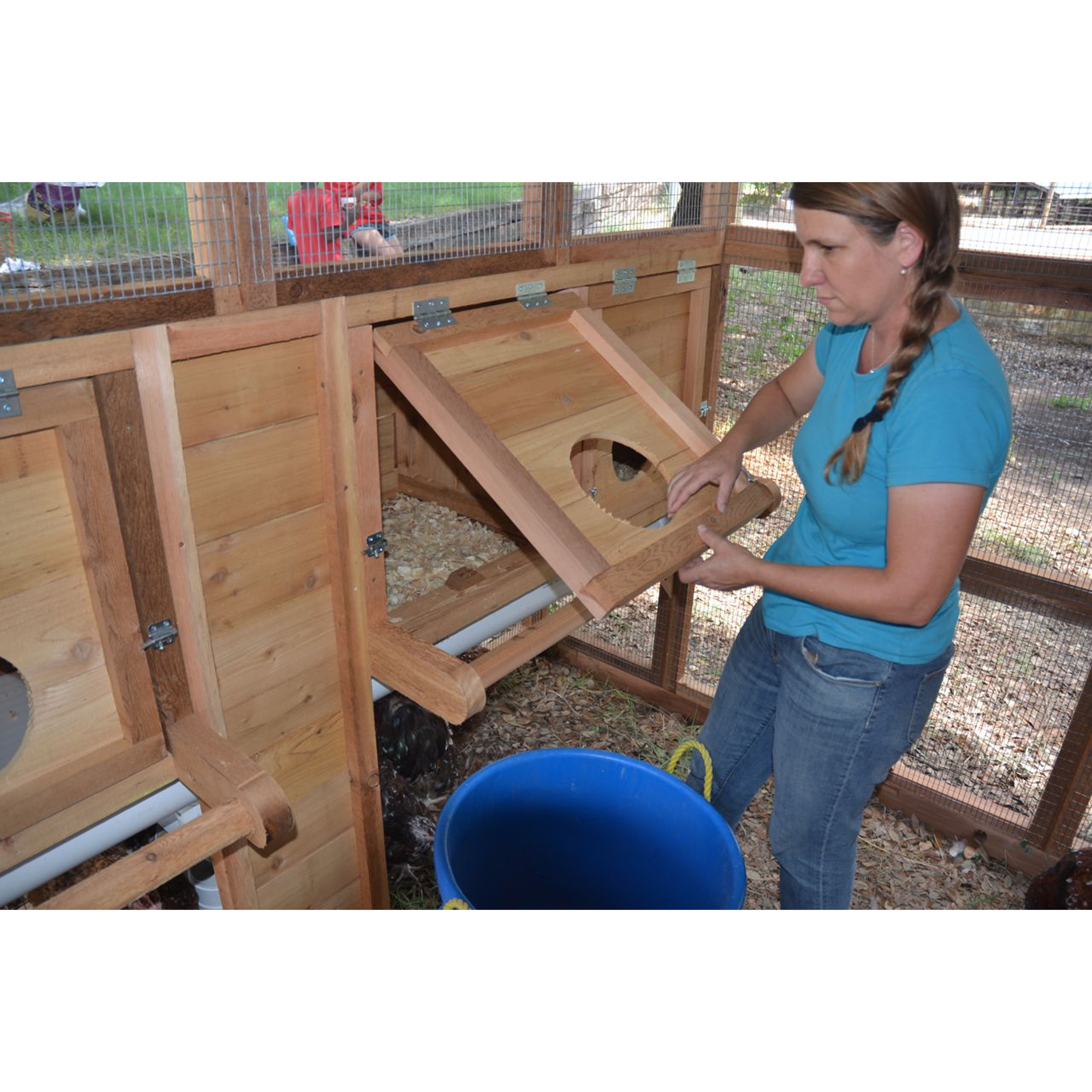 Round-Top Walk-In Chicken Coop