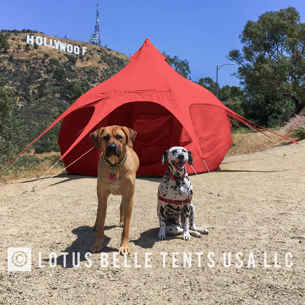 LOTUS BELLE 10FT AIR BEAM BUD TENT