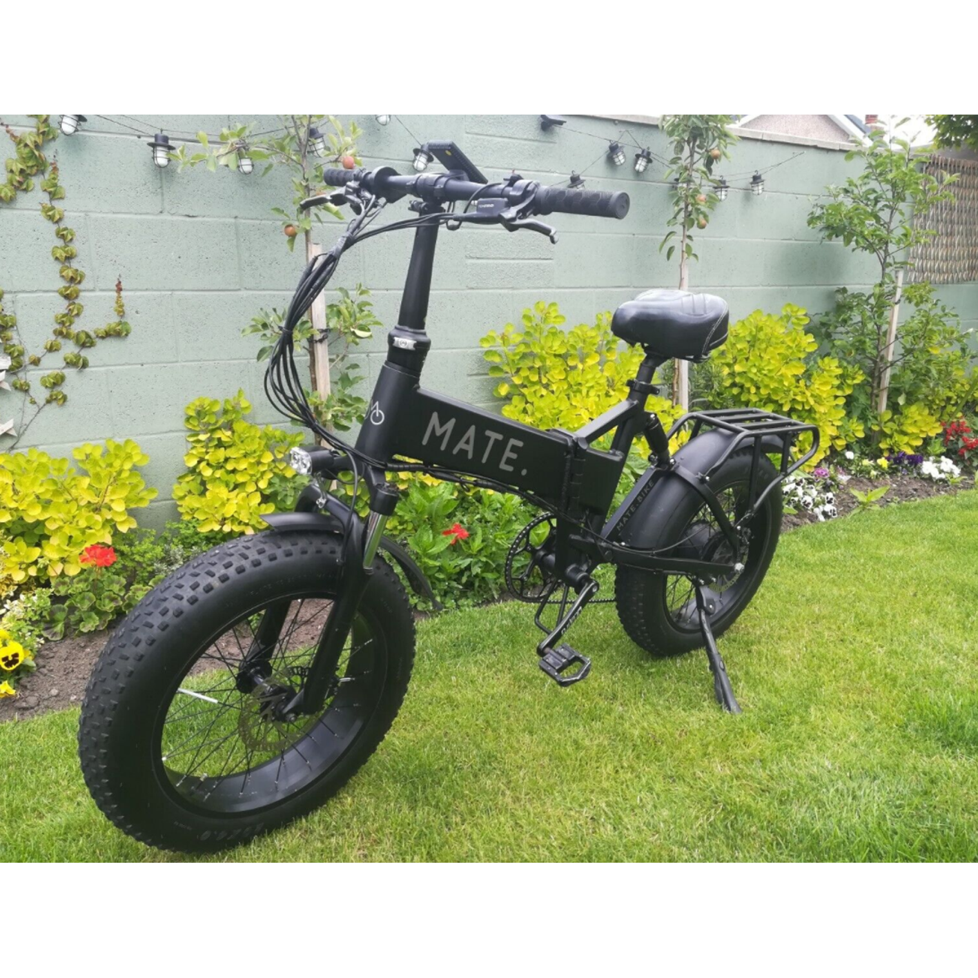 Mate electric bike