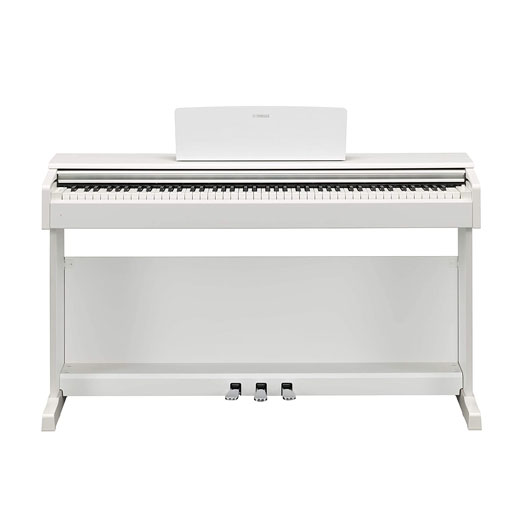 1362-Check out our once in a lifetime offer