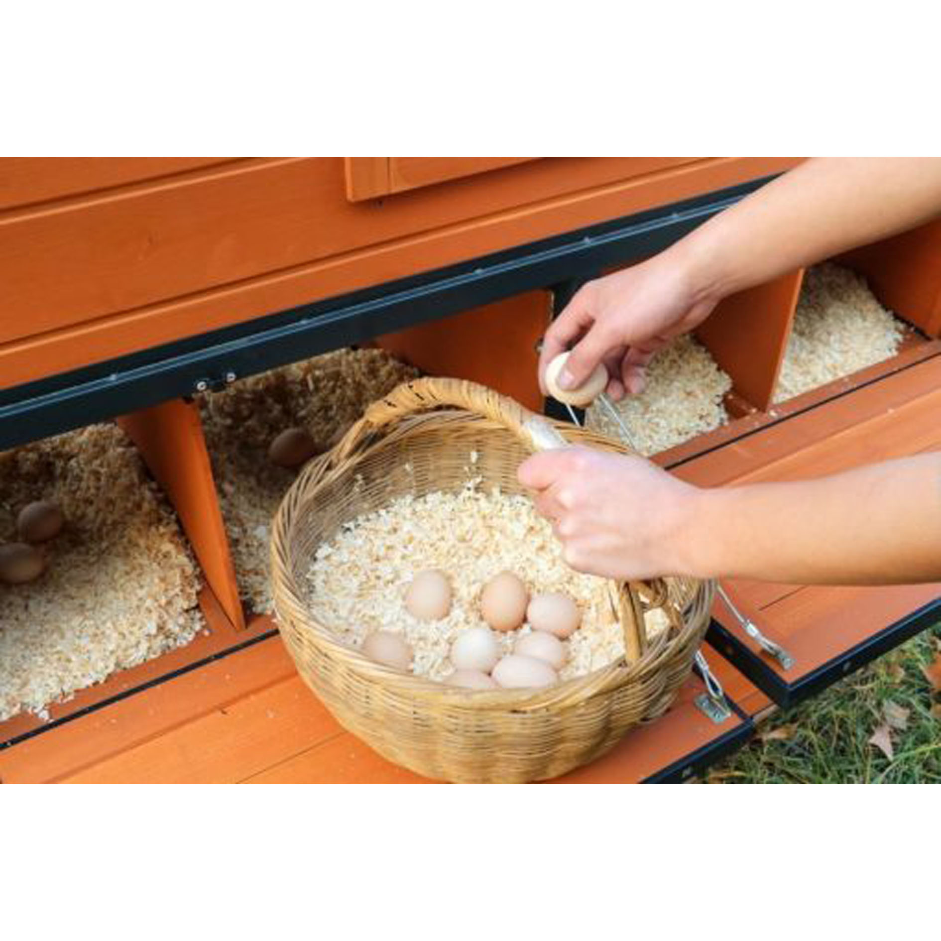 Walk-In Weatherproof Large Chicken Coop