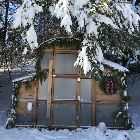 Round-Top Walk-In Chicken Coop