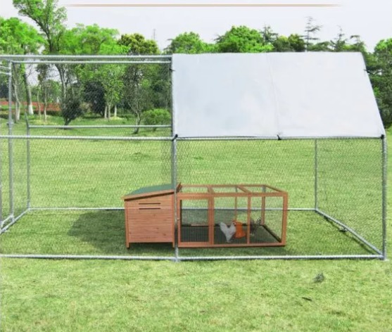 Sharma Walk In Chicken Run can accommodate up to 28 chickens