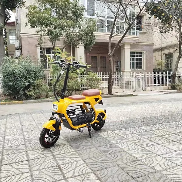 Double Electric Bike