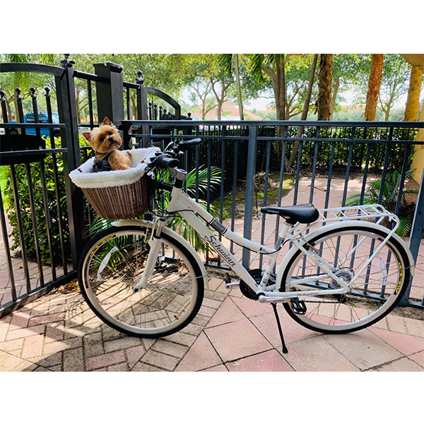 Mixed unisex bike, 21-speed, 28-inch wheels