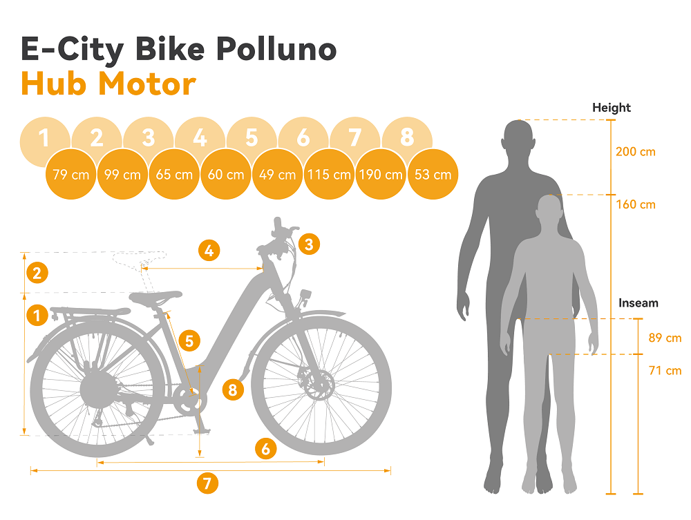 Polluno Electric City Bike