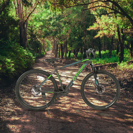 oanne named the group Joanne · 27.5