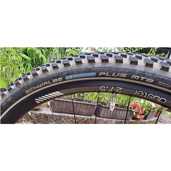 TREK powerfly FS 9+ electric bike