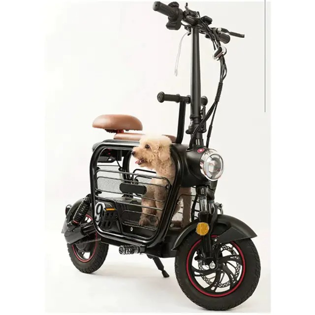 Double Electric Bike