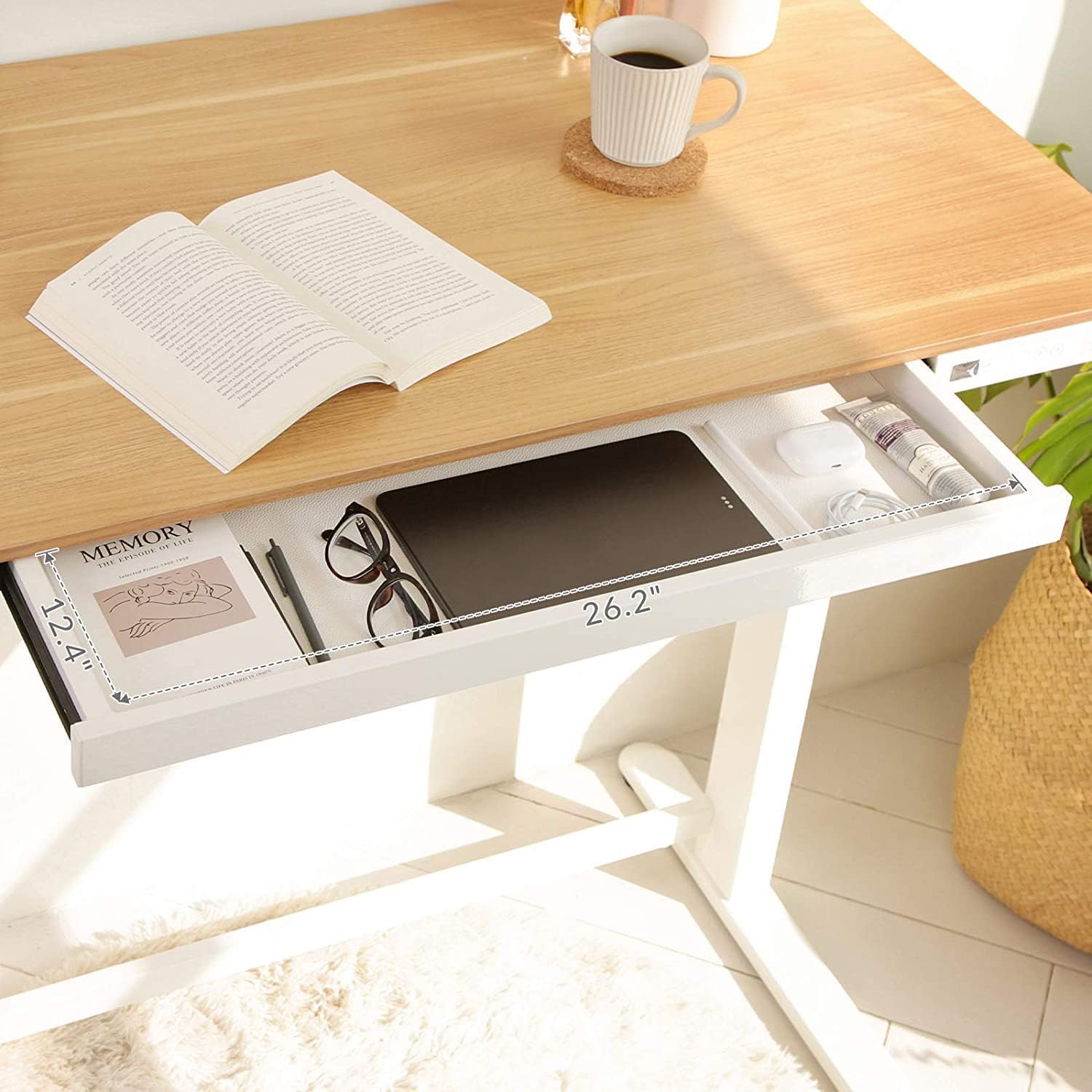 FLEXISPOT Comhar EW8M Electric Standing Desk, Home Office Electric Height Adjustable Sit-Stand Desk 120 * 60cm Maple Top with Drawer & Fast USB Chargers (White Frame+Maple Top)