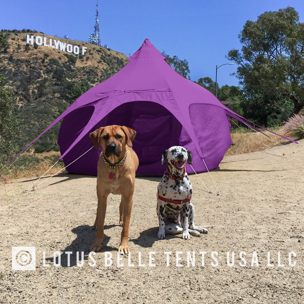 LOTUS BELLE 10FT AIR BEAM BUD TENT