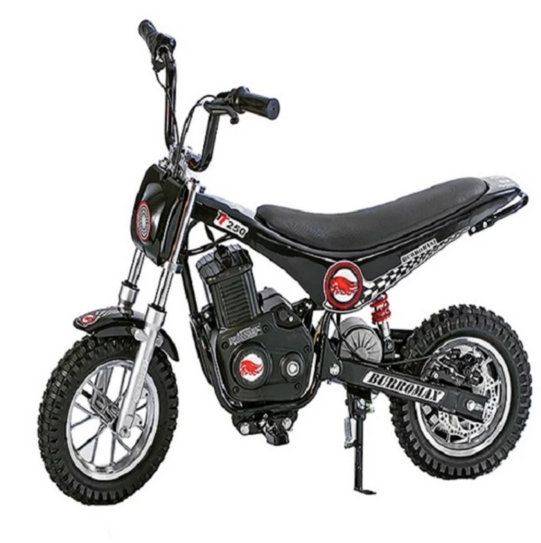 BURROMAX mini electric vehicle 50W