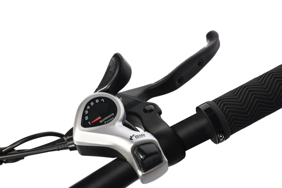 Polluno Electric City Bike