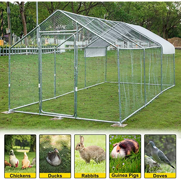 683-Mega savings on this mega sale