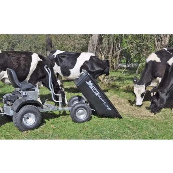 Ride-on Electric Unicycle Flash Sale