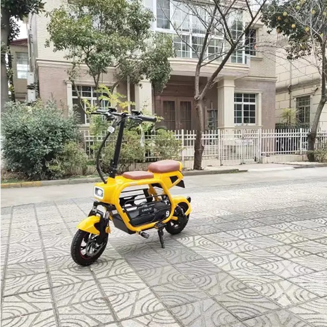 Double Electric Bike