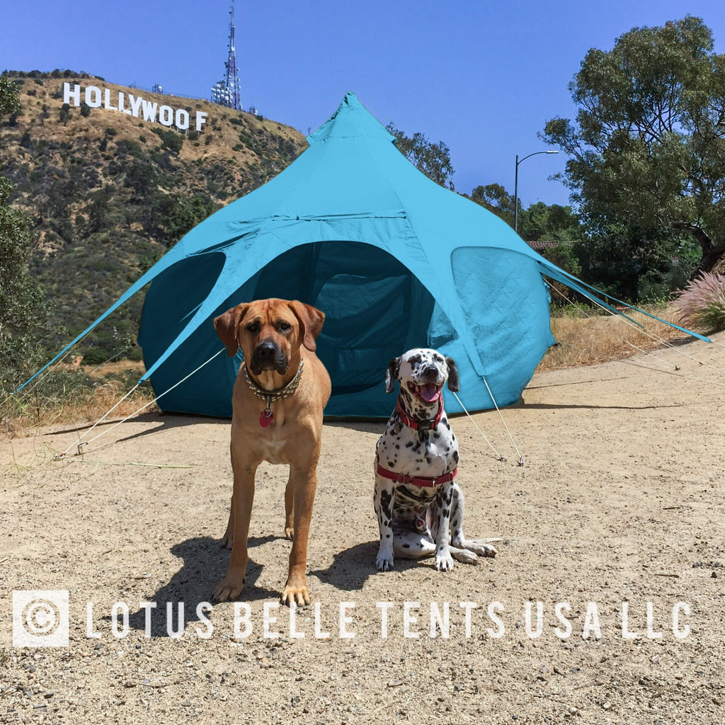 LOTUS BELLE 10FT AIR BEAM BUD TENT