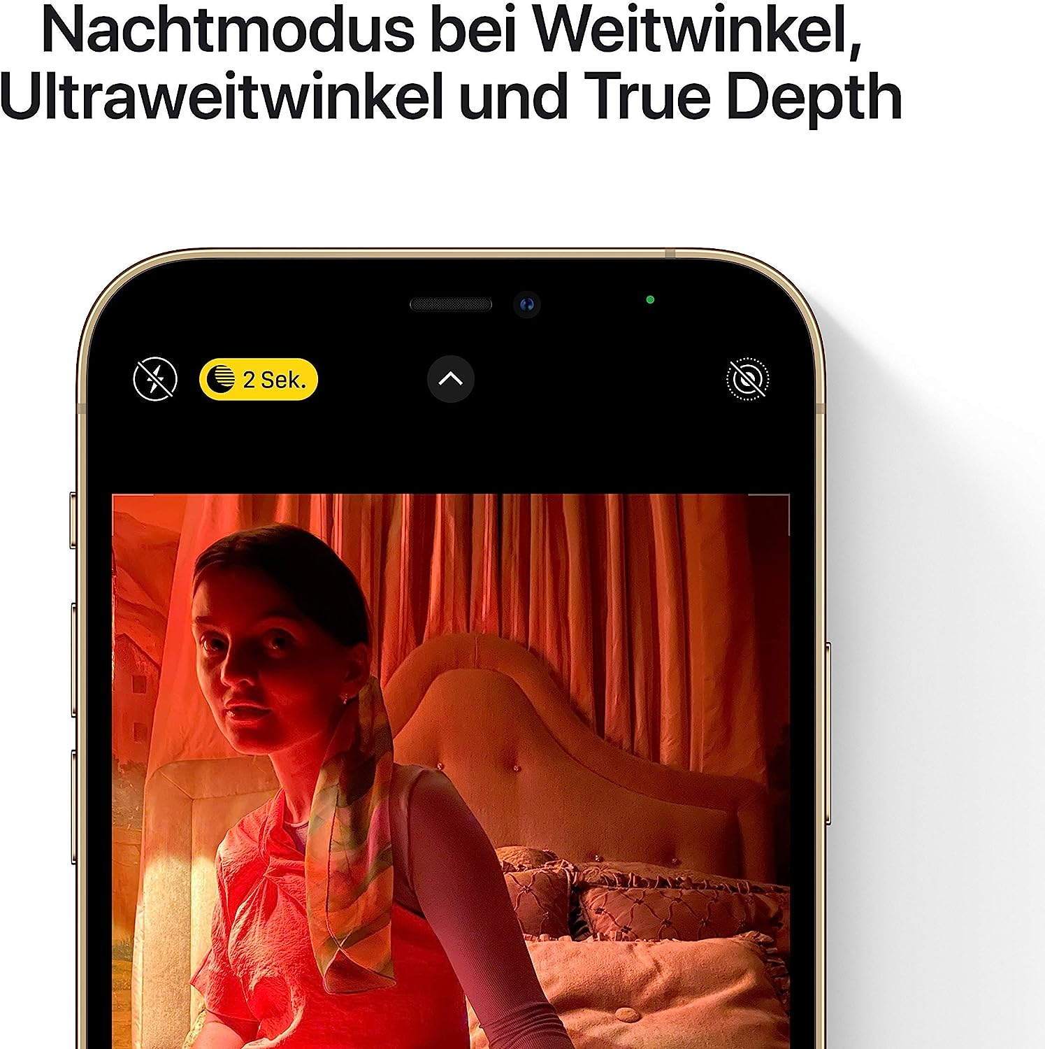 Apple iPhone 12 Pro Max 128GB (Renewed)