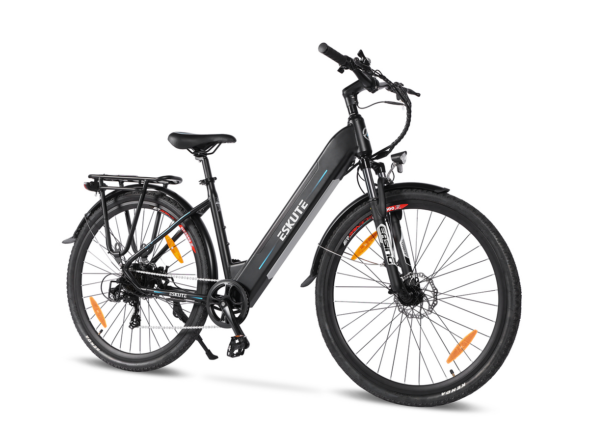 Polluno Electric City Bike