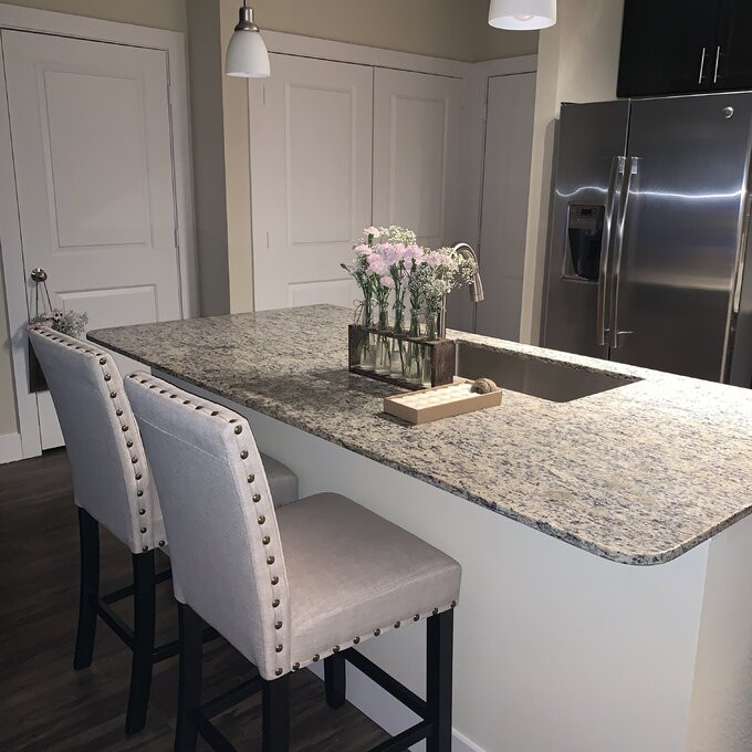 Haysi Bar & Counter Stool (Set of 2)