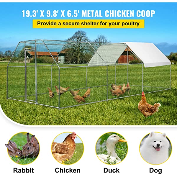 630-It’s the sale of all sales