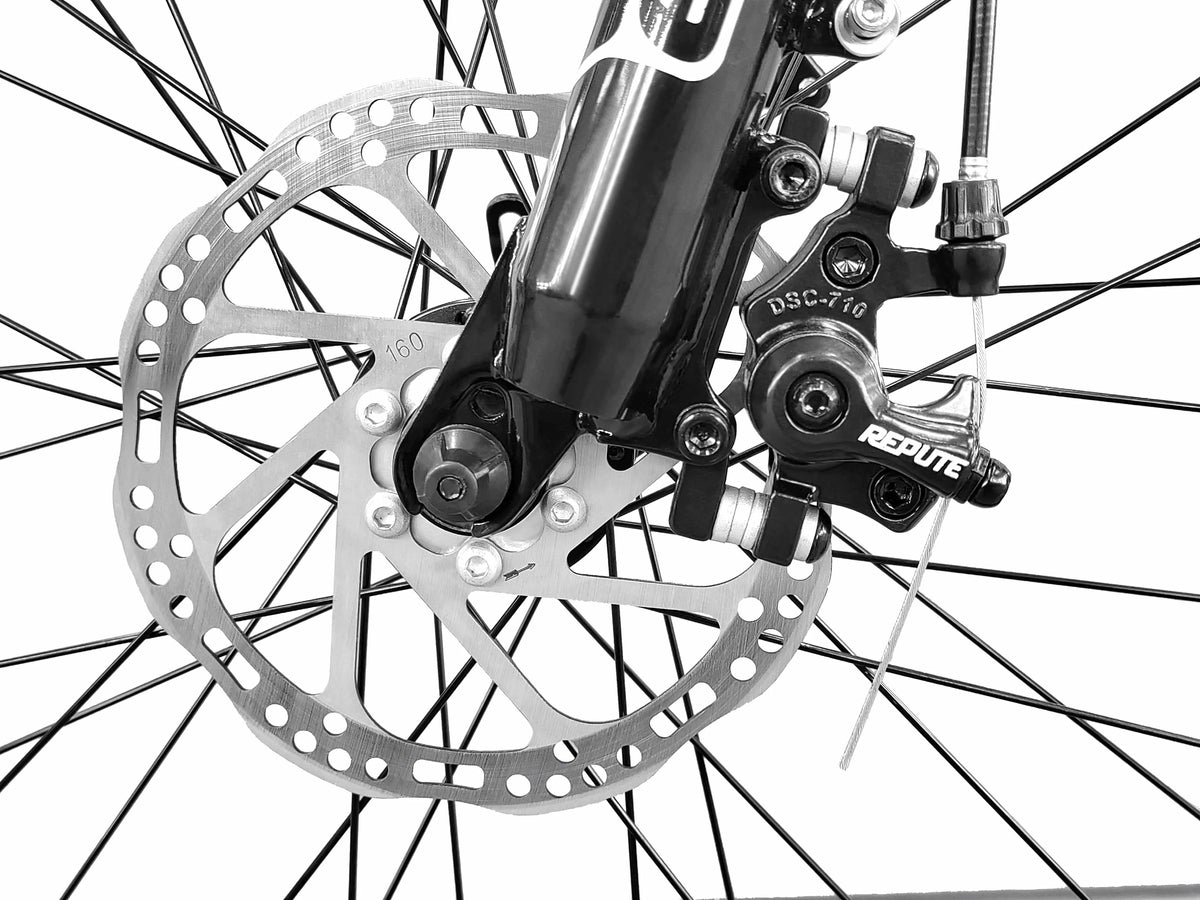 Polluno Electric City Bike