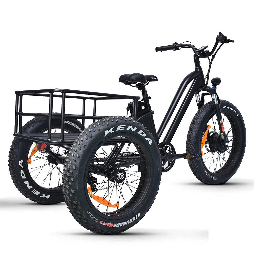 Electric Fat Trike 48V 1000W snowmobile Electric three-wheeled fat ebike 20-24inch wheel electric CARGO ebike
