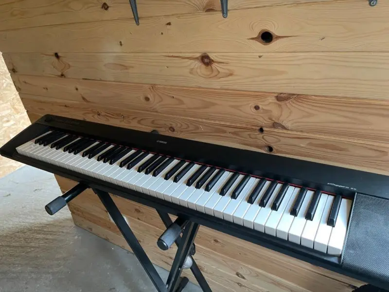 Yamaha Piaggero NP32