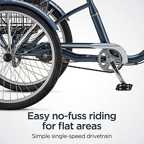 Schwinn Meridian Adult Tricycle, 24 or 26-Inch Wheel Options, Low Step-Through Aluminum Frame, Cargo Basket, Multiple Colors