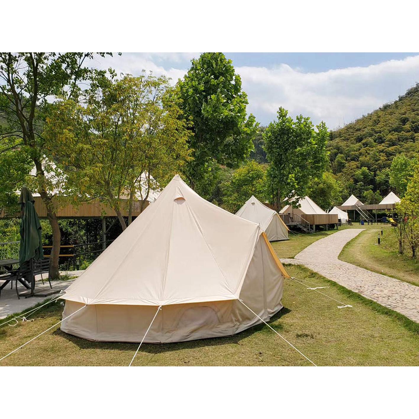 2215-Check out our once in a lifetime offer