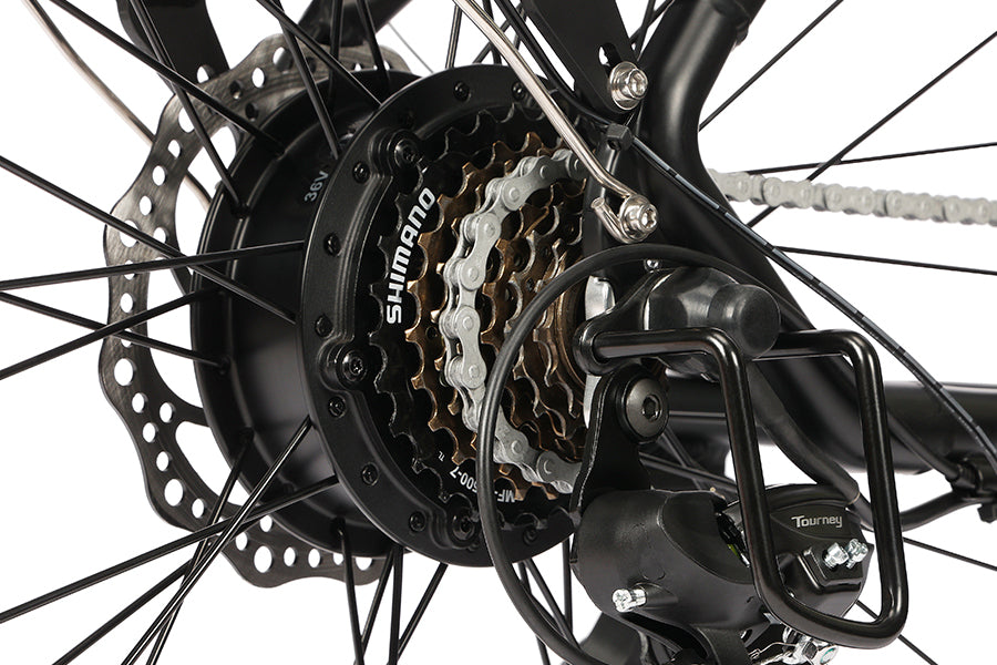 ESKUTE Polluno electric bike