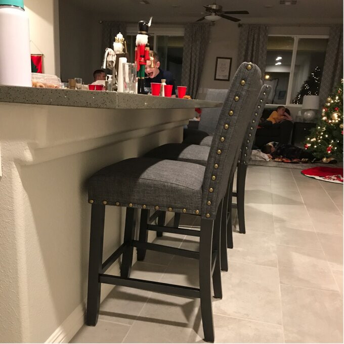 Haysi Bar & Counter Stool (Set of 2)